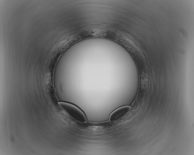 X0000113750748200909231005
