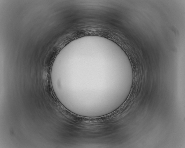 X0000113750749200909231005