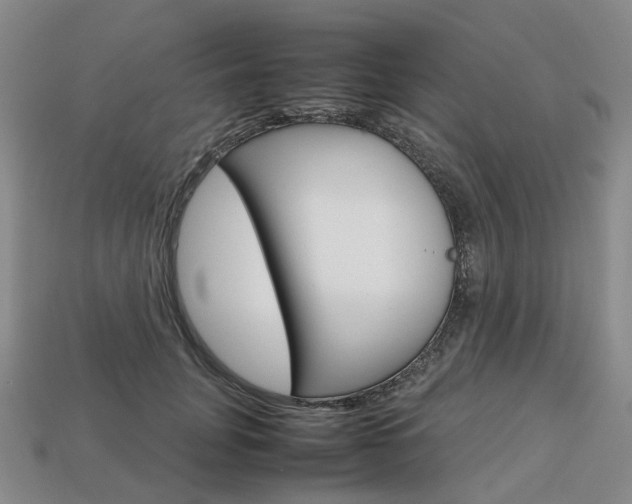 X0000113750751200909231005