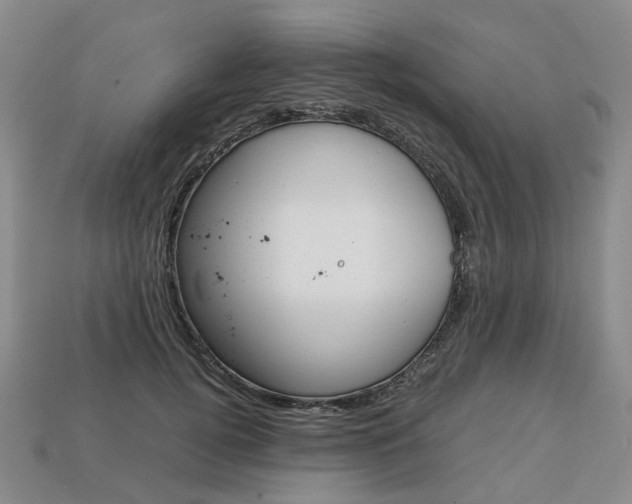 X0000113750752200909231005