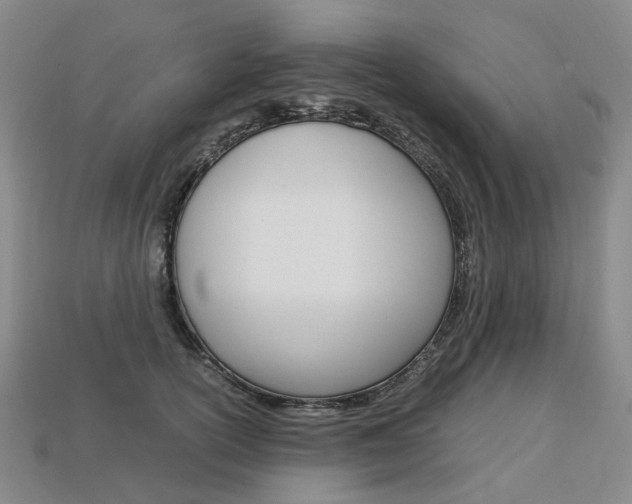 X0000113750754200909231005