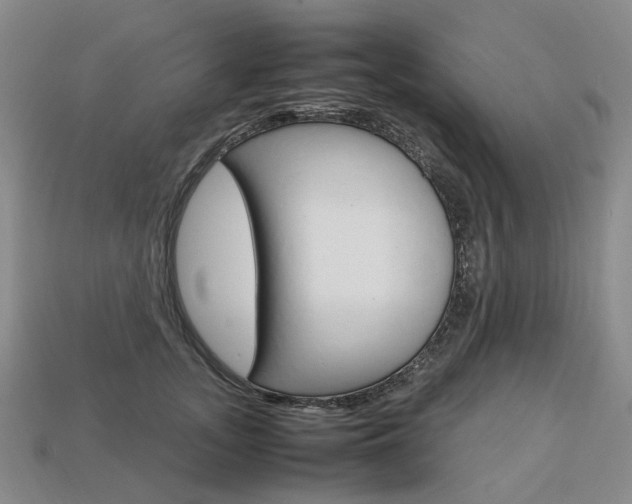 X0000113750755200909231005