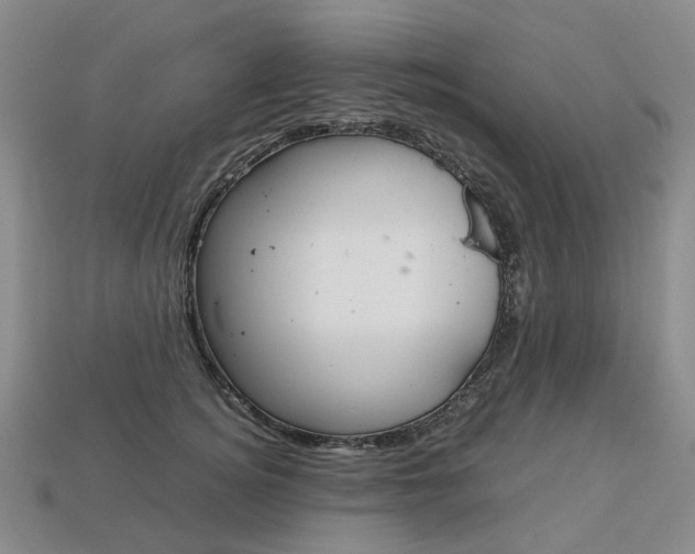 X0000113750756200909231005