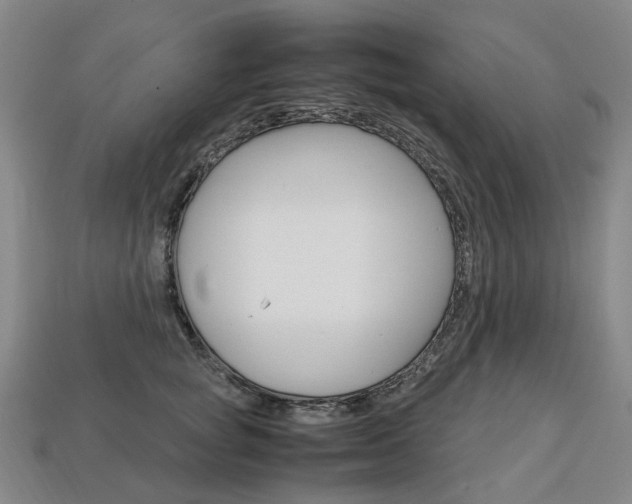 X0000113750757200909231005