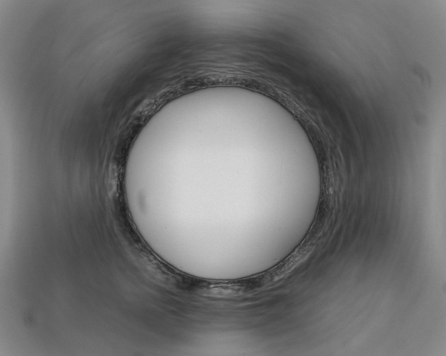 X0000113750758200909231005