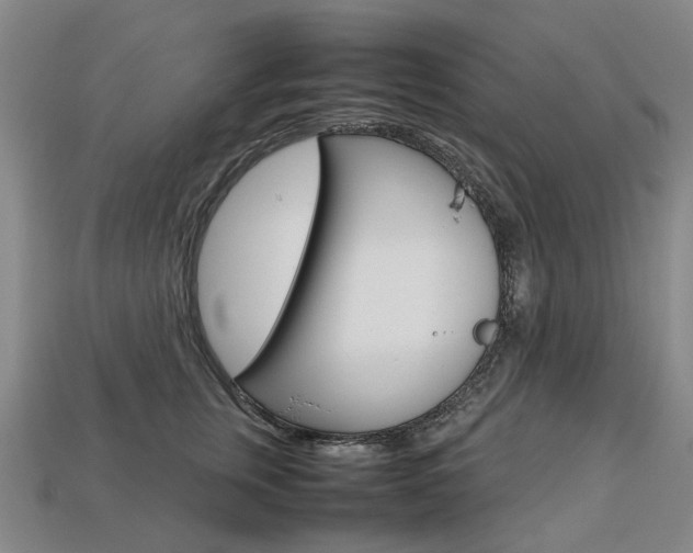 X0000113750759200909231005