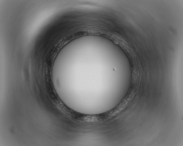 X0000113750762200909231006