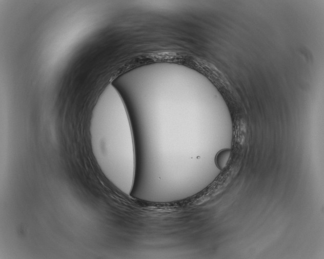 X0000113750763200909231006