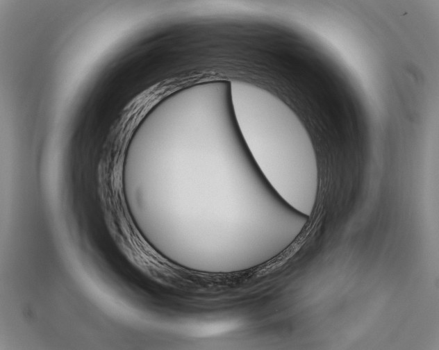 X0000113750765200909231006