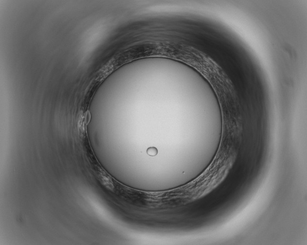 X0000113750766200909231006