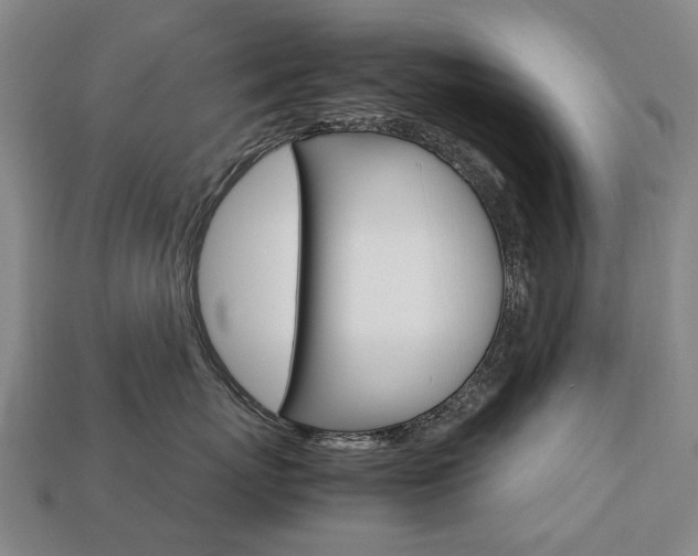 X0000113750767200909231006