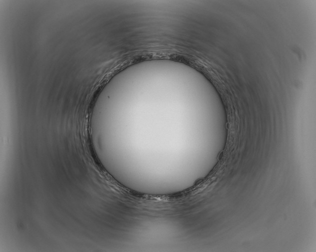 X0000113750768200909231006