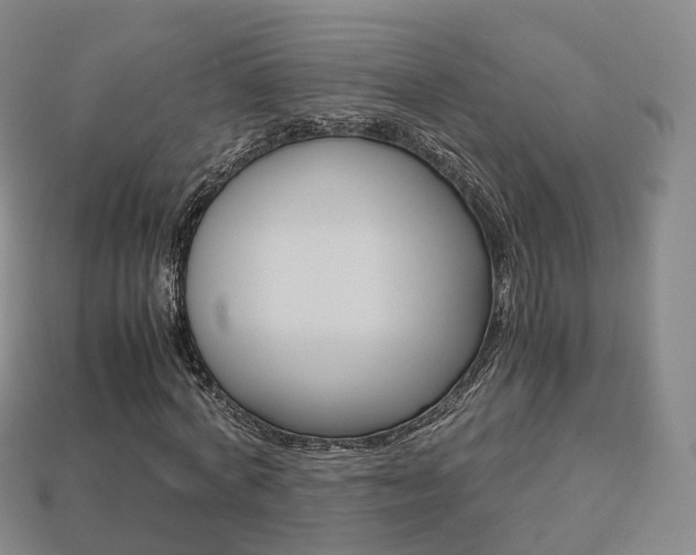 X0000113750772200909231005