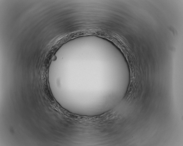 X0000113750773200909231005