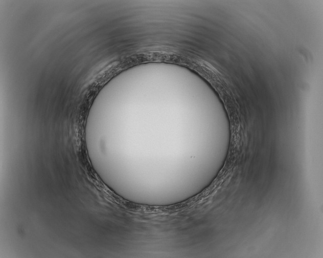X0000113750774200909231005