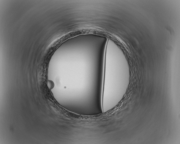 X0000113750775200909231005