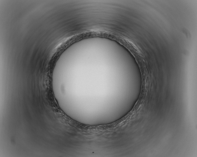 X0000113750776200909231005