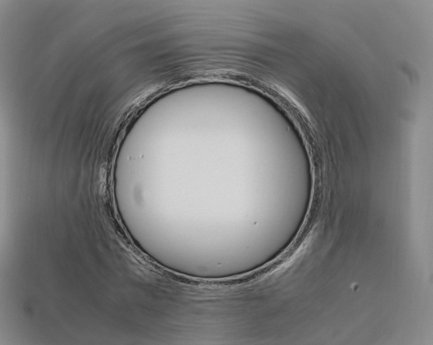 X0000113750777200909231005