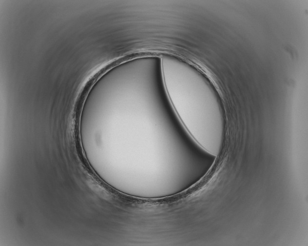 X0000113750779200909231005