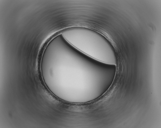 X0000113750780200909231005
