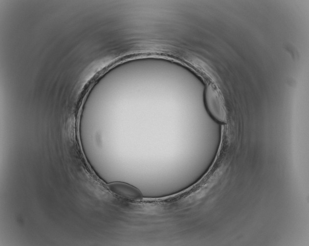 X0000113750781200909231005