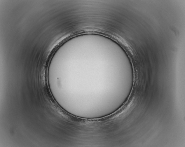 X0000113750782200909231005