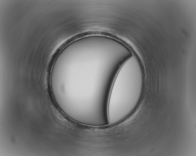 X0000113750783200909231005