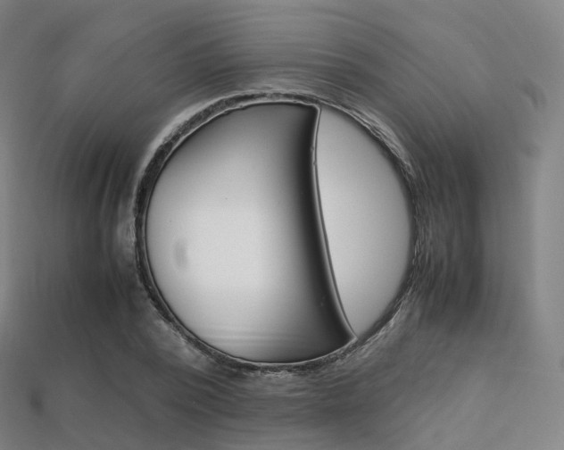 X0000113750784200909231005