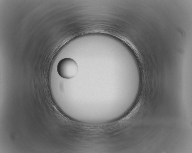 X0000113750785200909231005