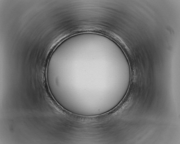 X0000113750786200909231005