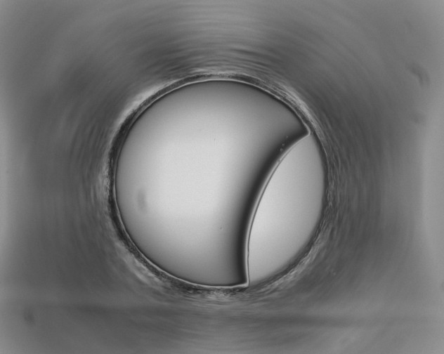 X0000113750787200909231005