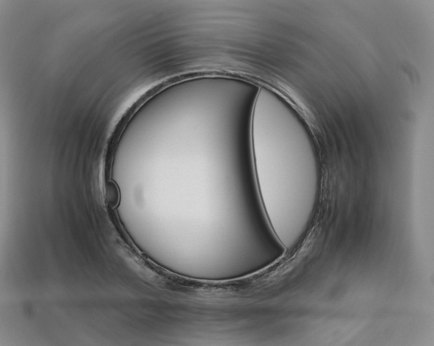 X0000113750788200909231005