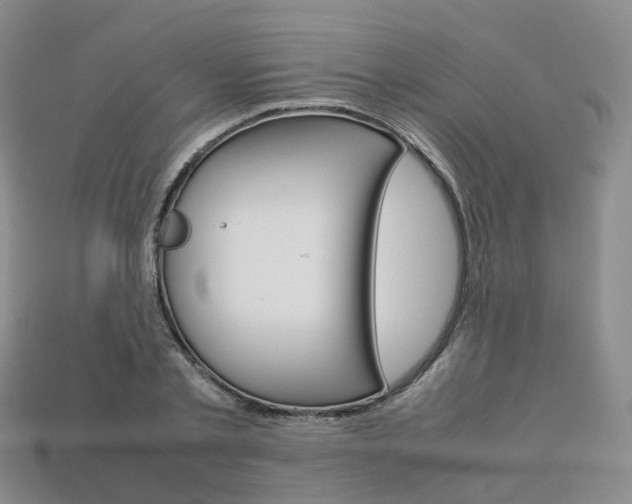 X0000113750789200909231005