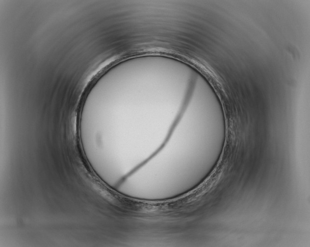 X0000113750790200909231005