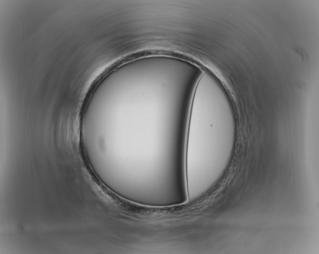 X0000113750791200909231005