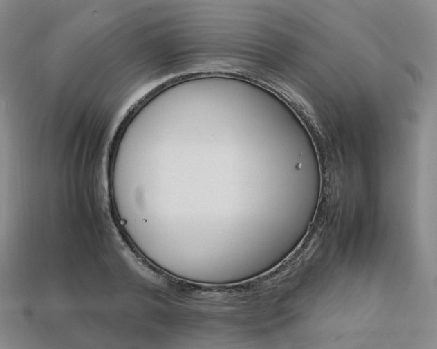 X0000113750792200909231005
