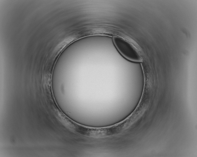 X0000113750793200909231005