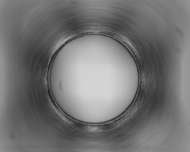 X0000113750794200909231005