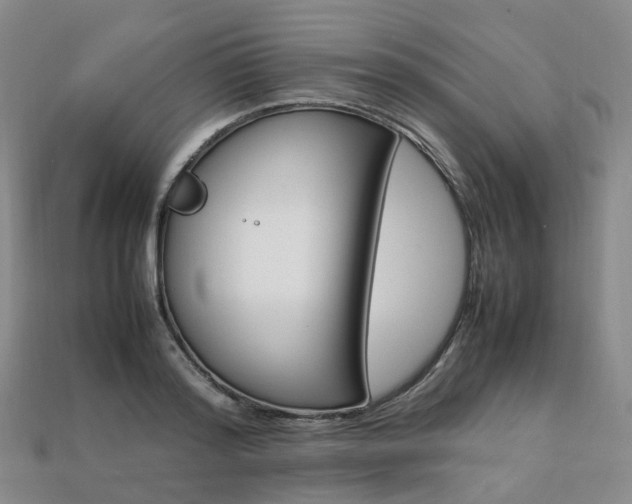 X0000113750796200909231005
