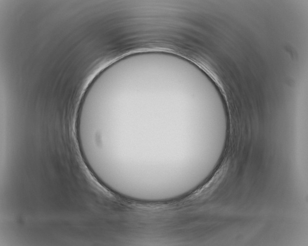 X0000113750797200909231005