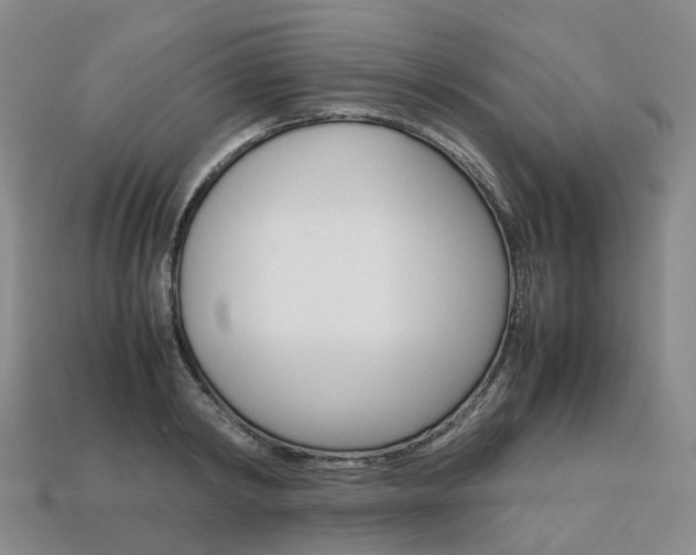X0000113750798200909231005