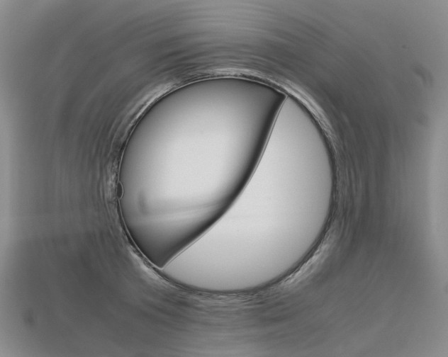 X0000113750801200909231005