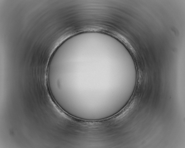 X0000113750802200909231005