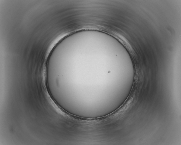 X0000113750804200909231005