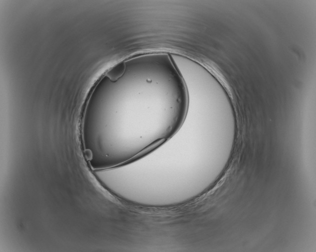 X0000113750805200909231005