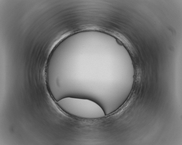 X0000113750806200909231005