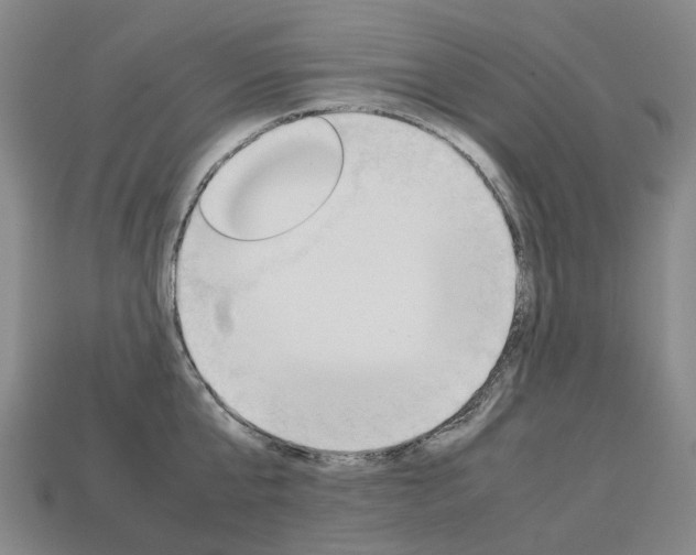 X0000113750807200909231004