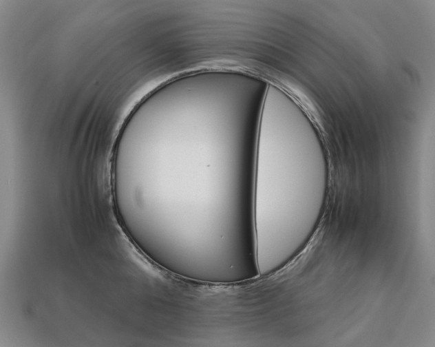 X0000113750808200909231004