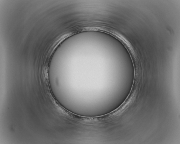 X0000113750809200909231004