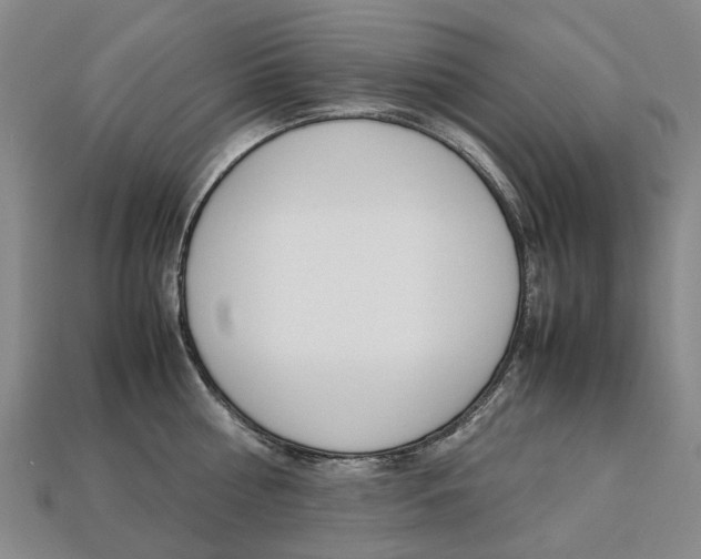 X0000113750810200909231004